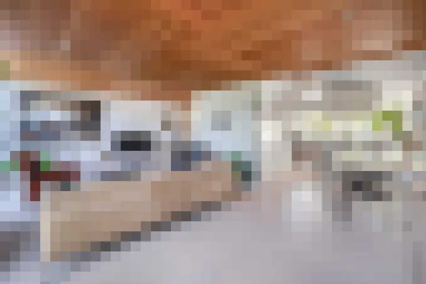 Mendelssohnstraat 5 Waalwijk thumbnail 4