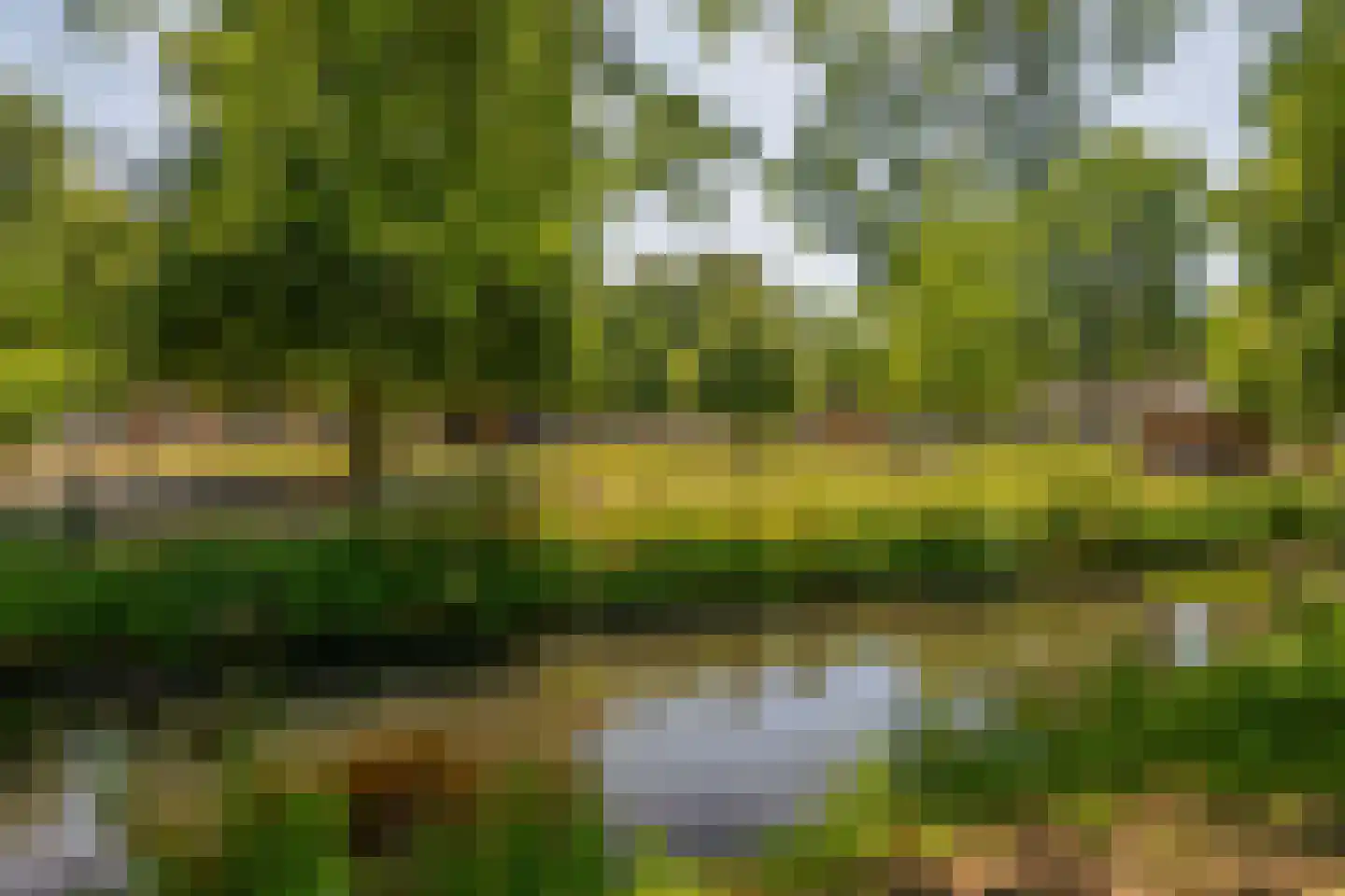 Mendelssohnstraat 5 Waalwijk thumbnail 5