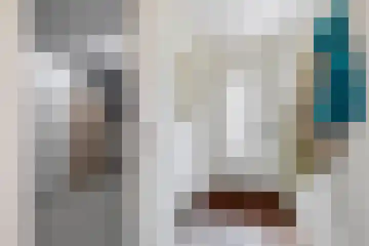 Mendelssohnstraat 51 Capelle aan den IJssel thumbnail 14