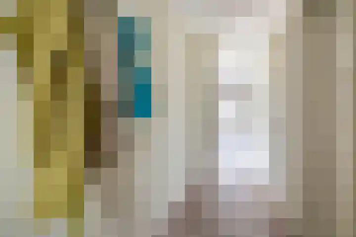 Mendelssohnstraat 51 Capelle aan den IJssel thumbnail 16