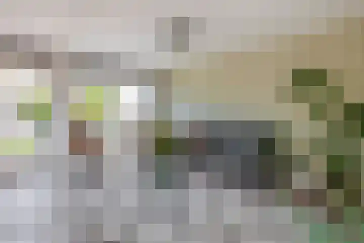 Mendelssohnstraat 51 Capelle aan den IJssel thumbnail 17
