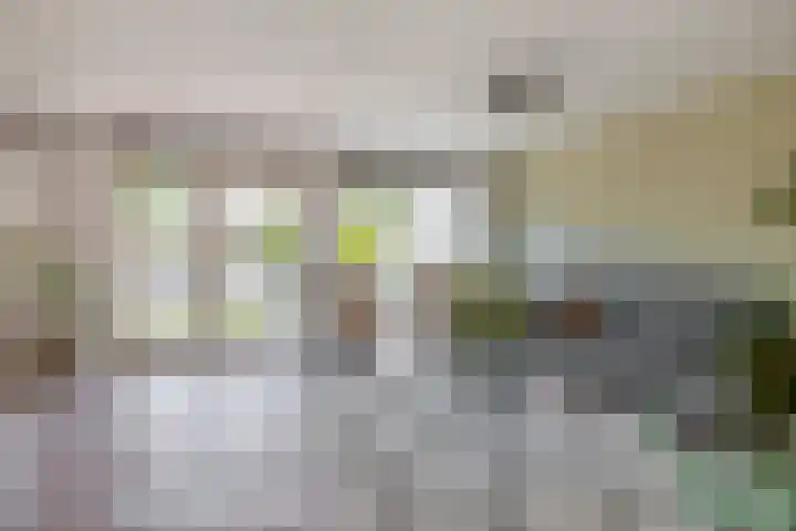 Mendelssohnstraat 51 Capelle aan den IJssel thumbnail 18