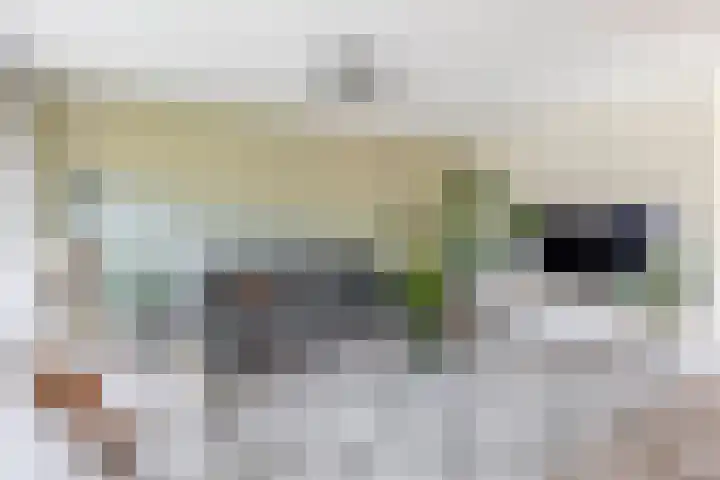 Mendelssohnstraat 51 Capelle aan den IJssel thumbnail 19