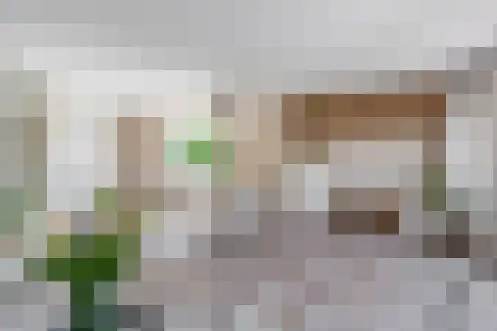 Mendelssohnstraat 51 Capelle aan den IJssel thumbnail 20