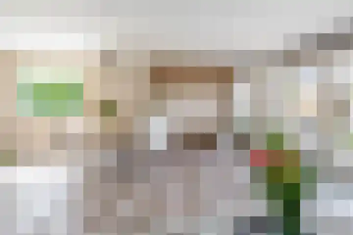 Mendelssohnstraat 51 Capelle aan den IJssel thumbnail 21