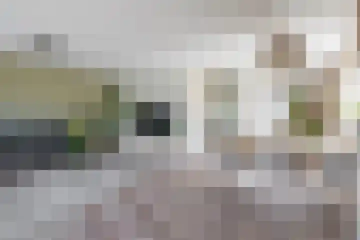 Mendelssohnstraat 51 Capelle aan den IJssel thumbnail 22