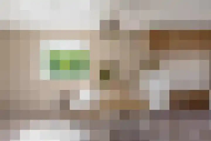 Mendelssohnstraat 51 Capelle aan den IJssel thumbnail 23