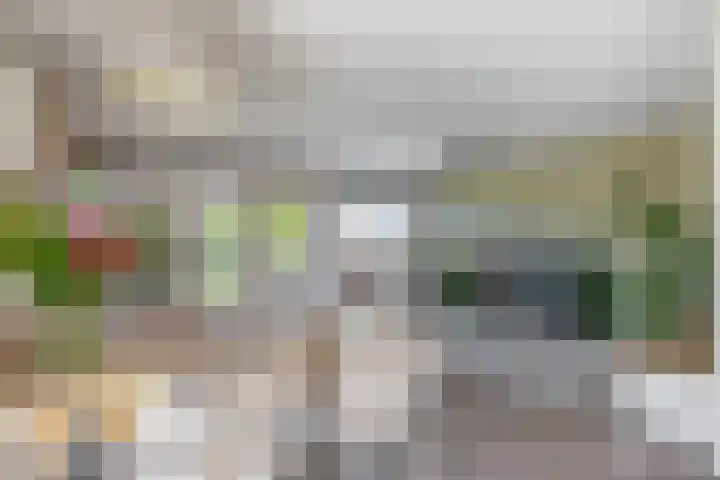 Mendelssohnstraat 51 Capelle aan den IJssel thumbnail 24
