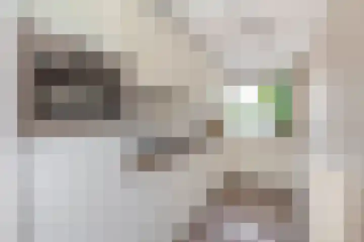 Mendelssohnstraat 51 Capelle aan den IJssel thumbnail 25