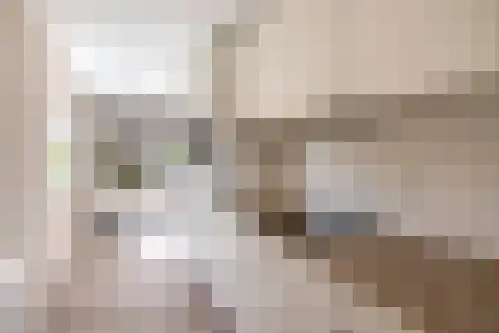 Mendelssohnstraat 51 Capelle aan den IJssel thumbnail 27