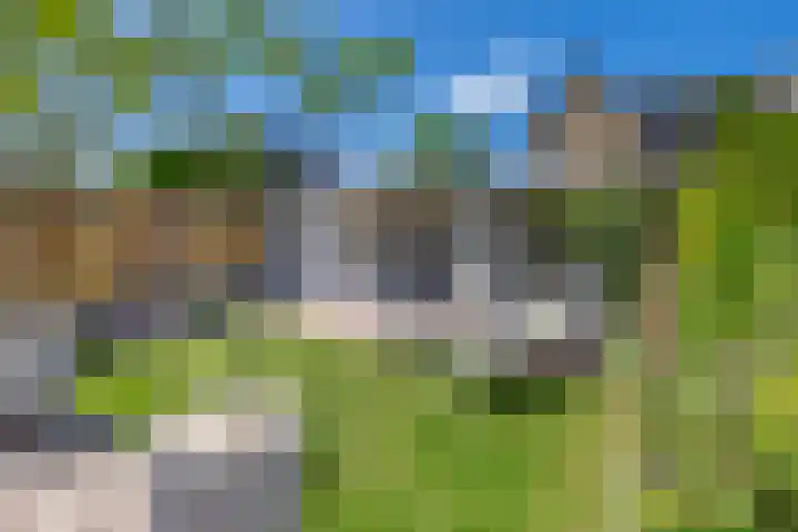 Mendelssohnstraat 51 Capelle aan den IJssel thumbnail 30