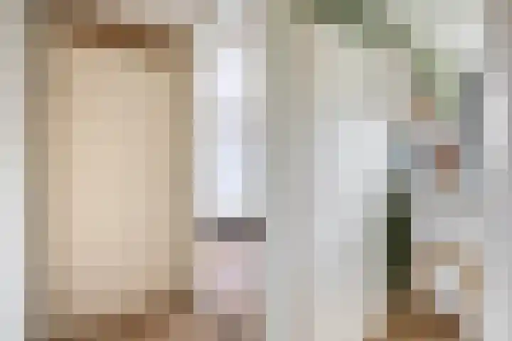 Mendelssohnstraat 51 Capelle aan den IJssel thumbnail 38