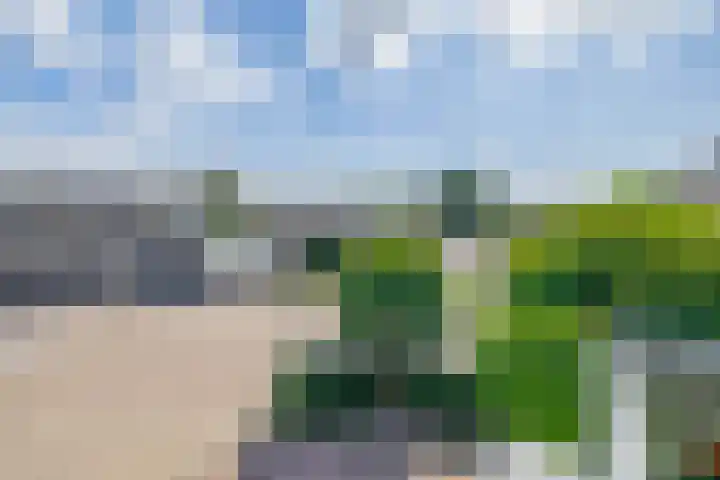 Mendelssohnstraat 51 Capelle aan den IJssel thumbnail 49