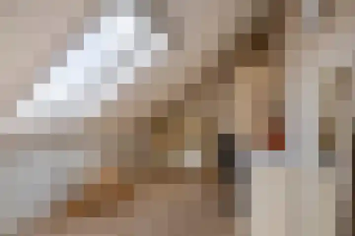 Mendelssohnstraat 51 Capelle aan den IJssel thumbnail 51