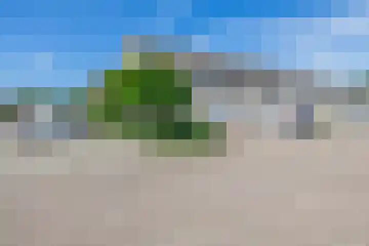 Mendelssohnstraat 51 Capelle aan den IJssel thumbnail 9