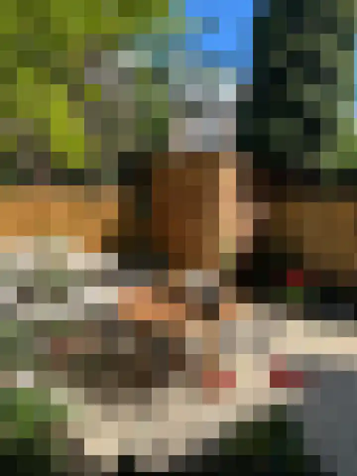 Mendelssohnstraat 55 Utrecht thumbnail 48