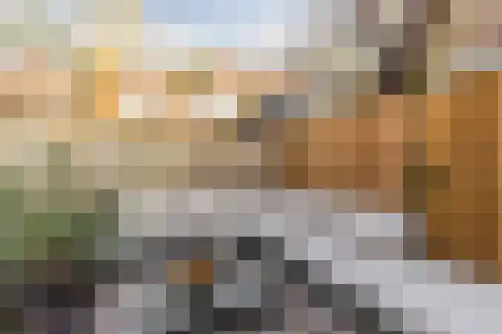 Mendelssohnstraat 55 Utrecht thumbnail 52