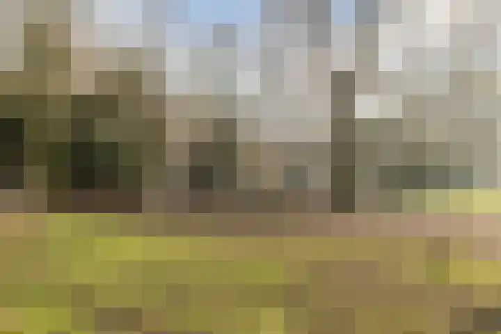 Mendelssohnstraat 55 Utrecht thumbnail 64