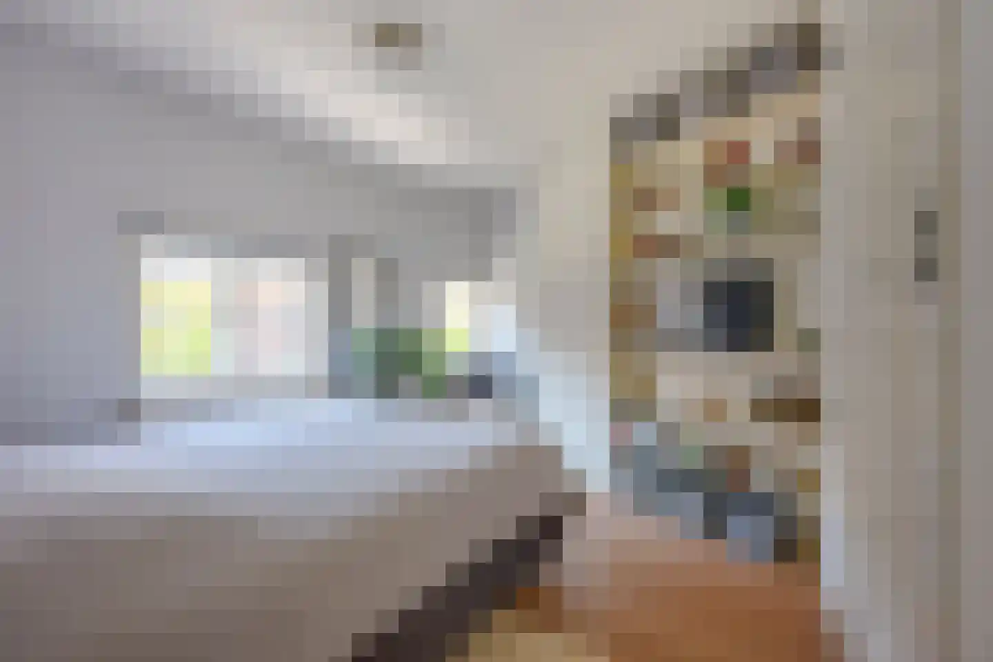 Mendelssohnstraat 59 Utrecht thumbnail 22