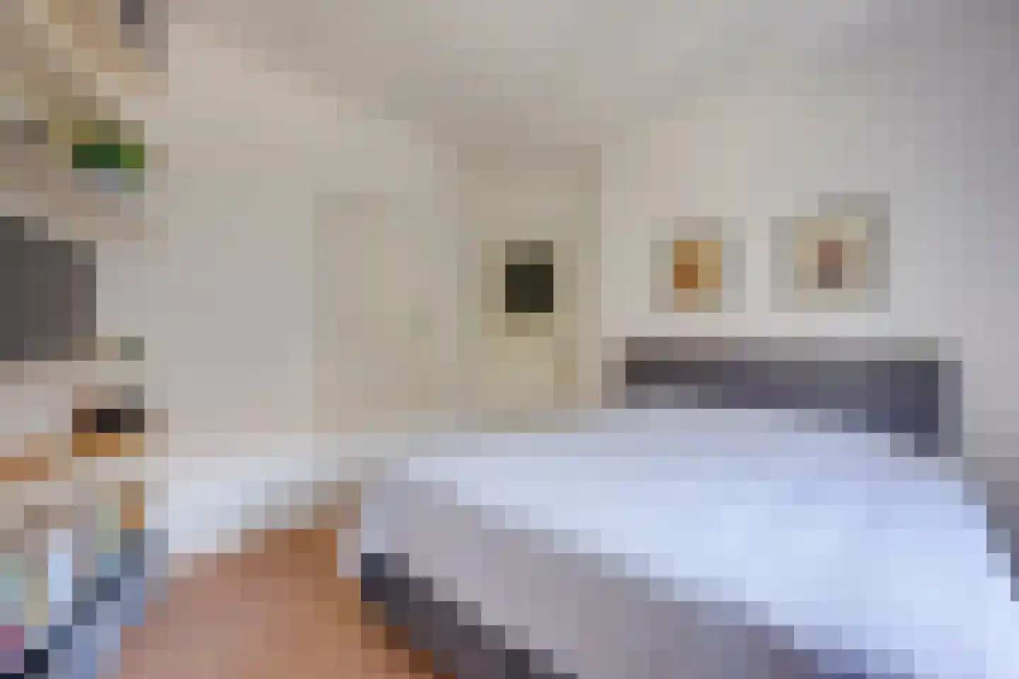 Mendelssohnstraat 59 Utrecht thumbnail 23