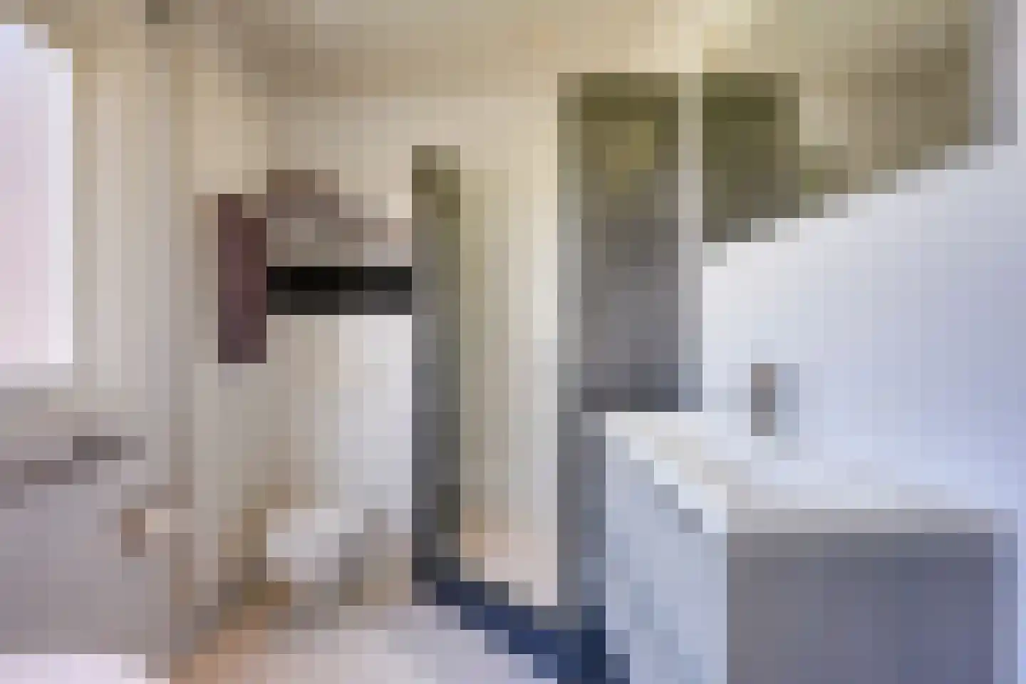 Mendelssohnstraat 59 Utrecht thumbnail 31
