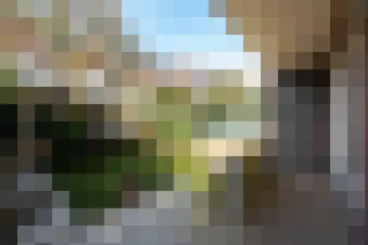 Mendelssohnstraat 68 Utrecht thumbnail 18
