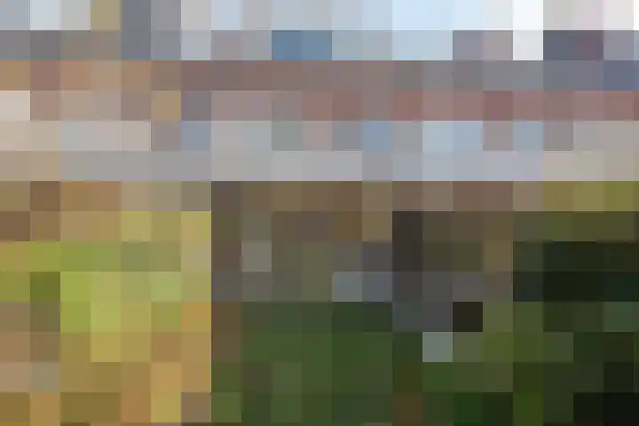 Mendelssohnstraat 68 Utrecht thumbnail 21