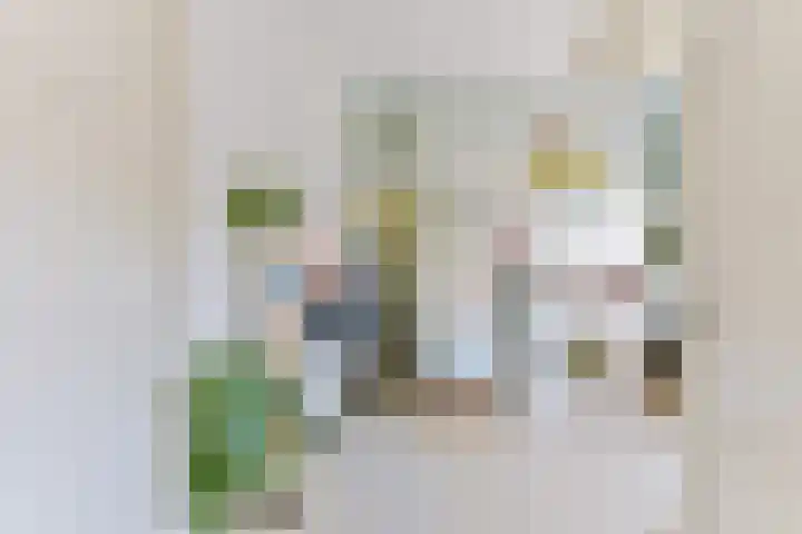 Mendelssohnstraat 68 Utrecht thumbnail 31