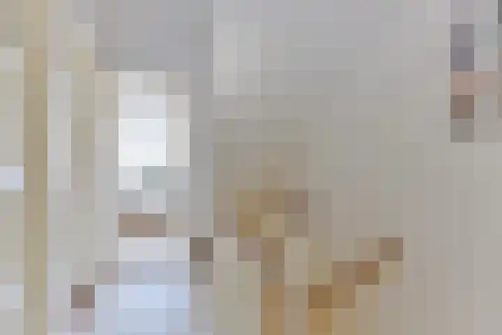 Mendelssohnstraat 68 Utrecht thumbnail 34