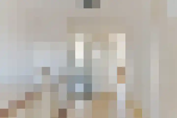 Mendelssohnstraat 68 Utrecht thumbnail 43