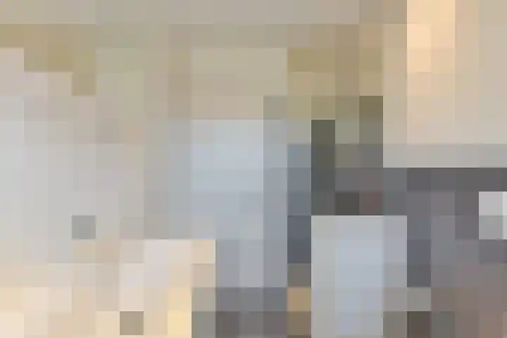 Mendelssohnstraat 68 Utrecht thumbnail 48