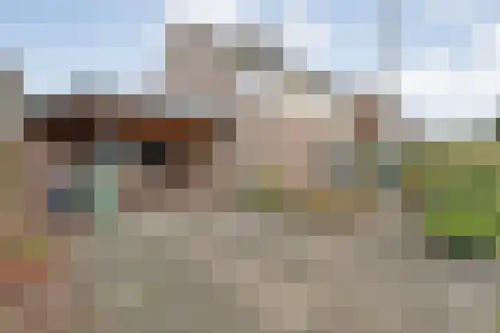 Mendelssohnstraat 7 Almelo thumbnail 5