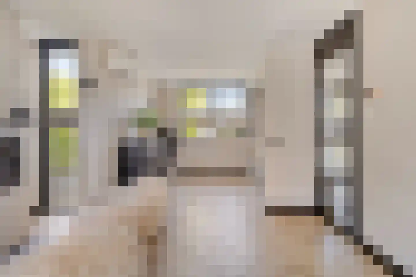 Mendelssohnstraat 7 Dirksland thumbnail 10