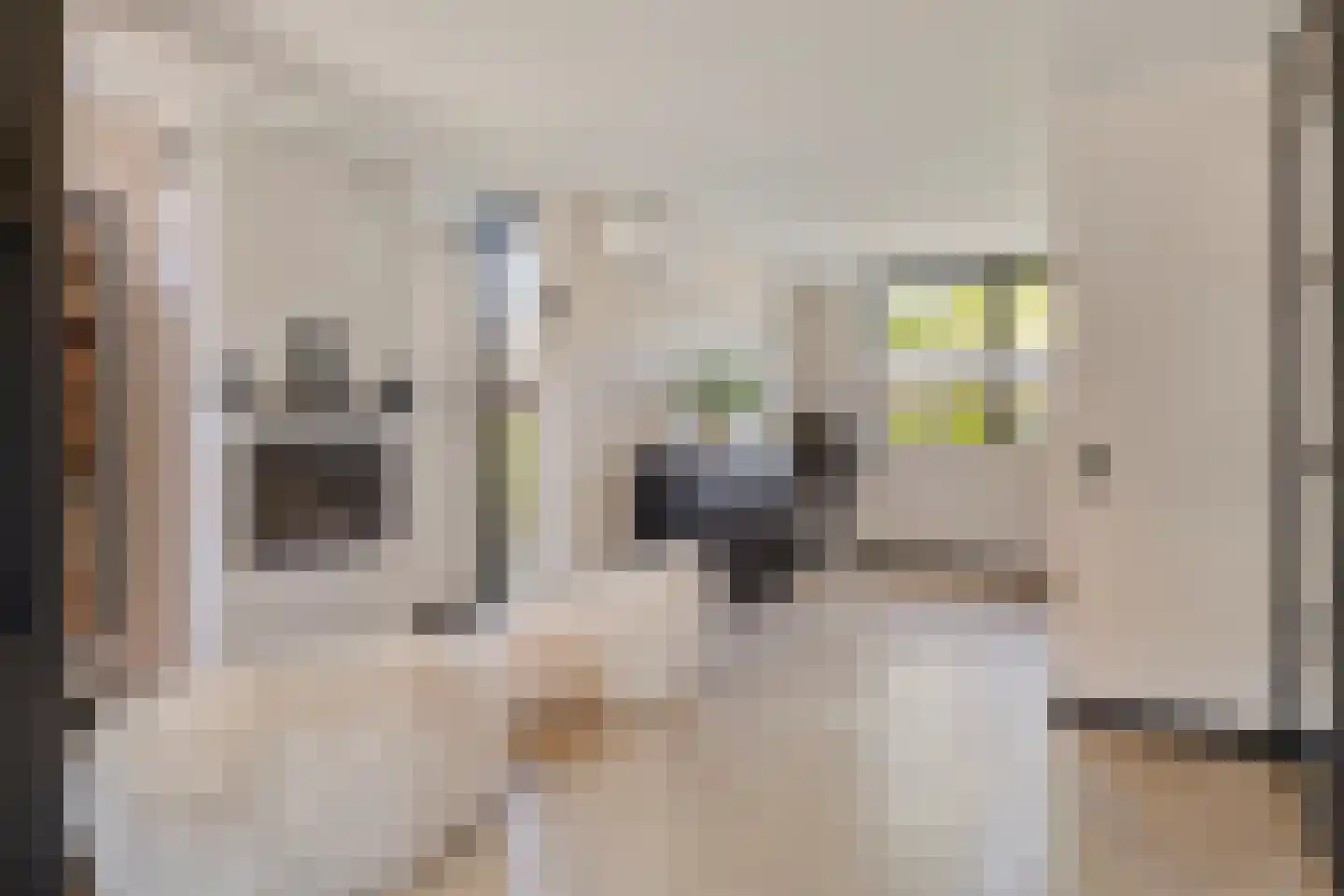 Mendelssohnstraat 7 Dirksland thumbnail 11