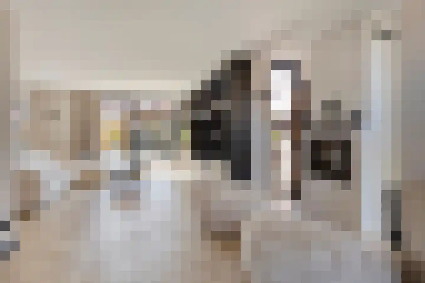 Mendelssohnstraat 7 Dirksland thumbnail 13