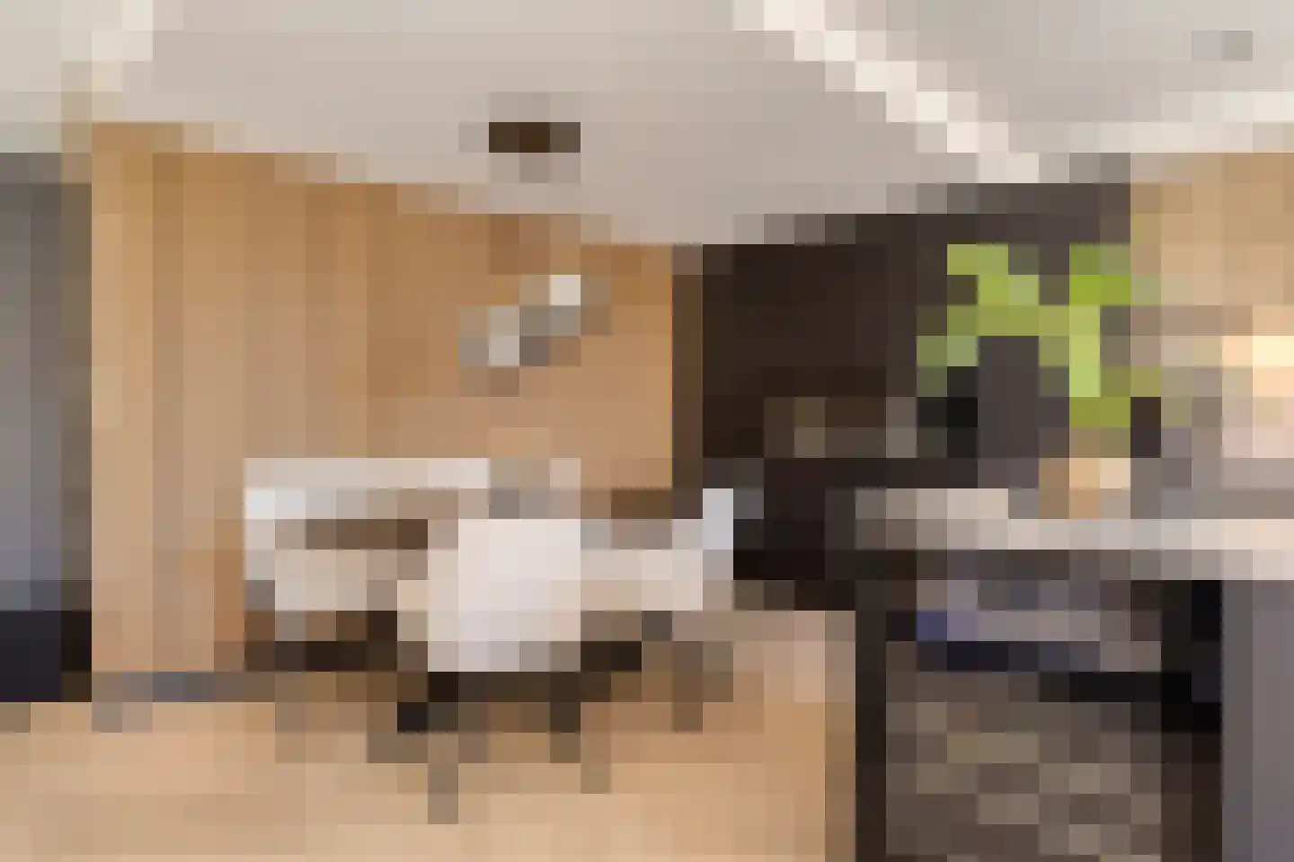 Mendelssohnstraat 7 Dirksland thumbnail 19