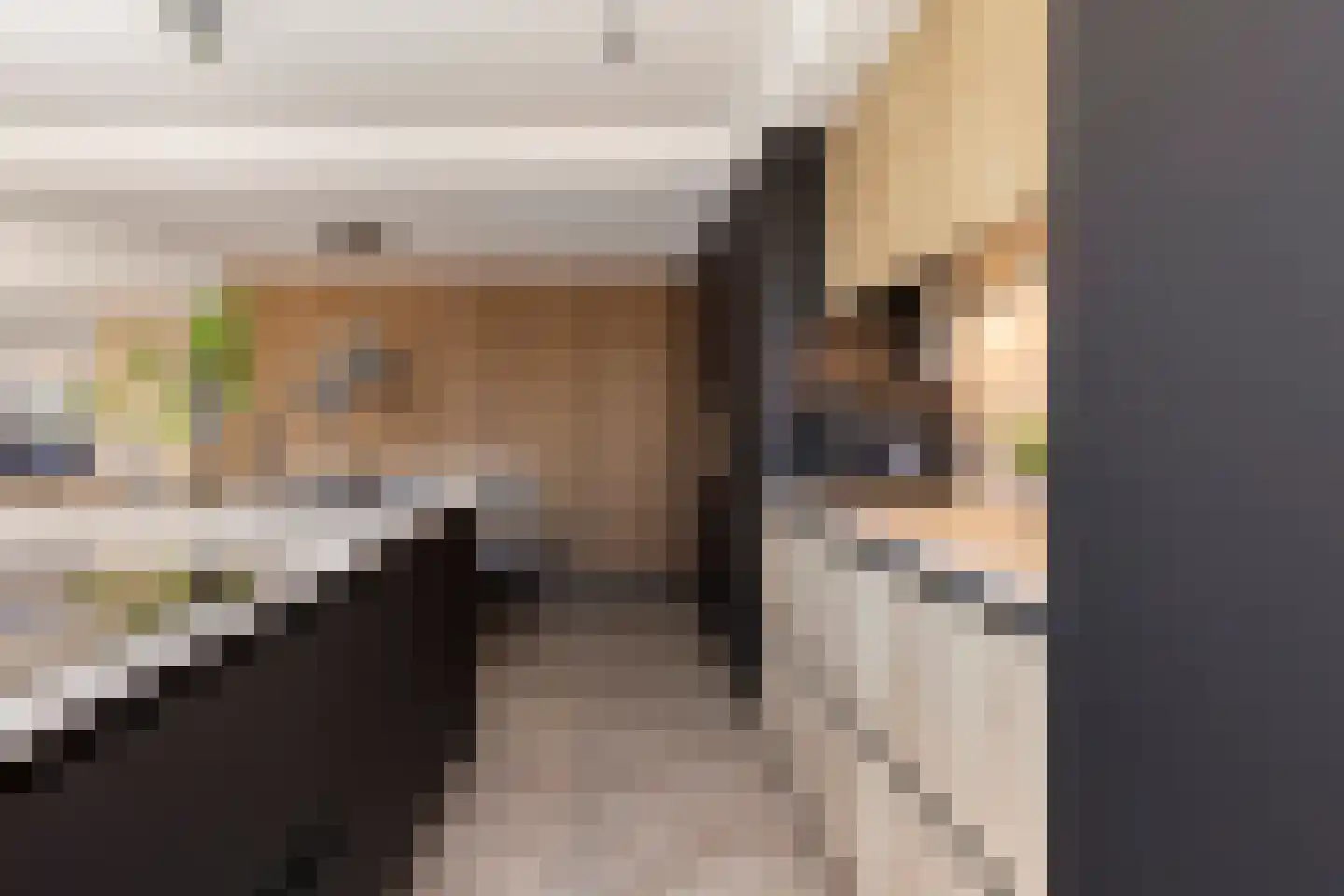 Mendelssohnstraat 7 Dirksland thumbnail 22