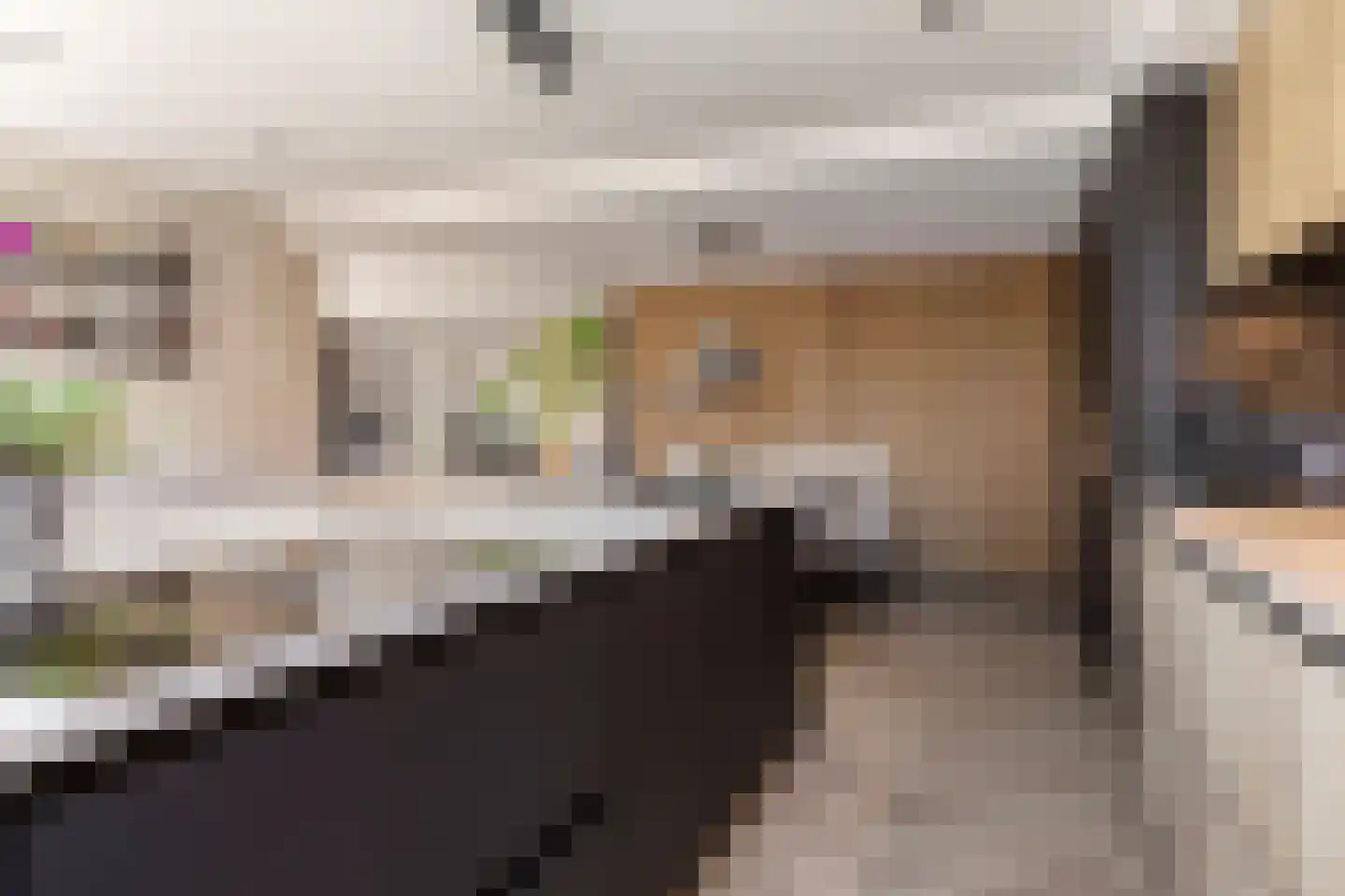 Mendelssohnstraat 7 Dirksland thumbnail 23