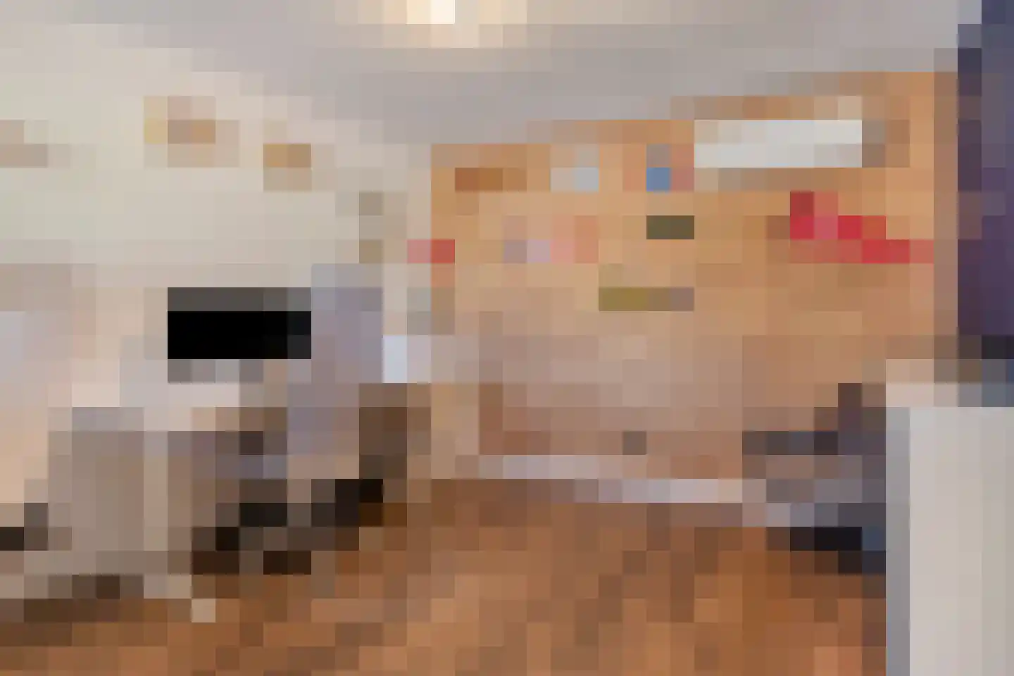 Mendelssohnstraat 7 Dirksland thumbnail 28