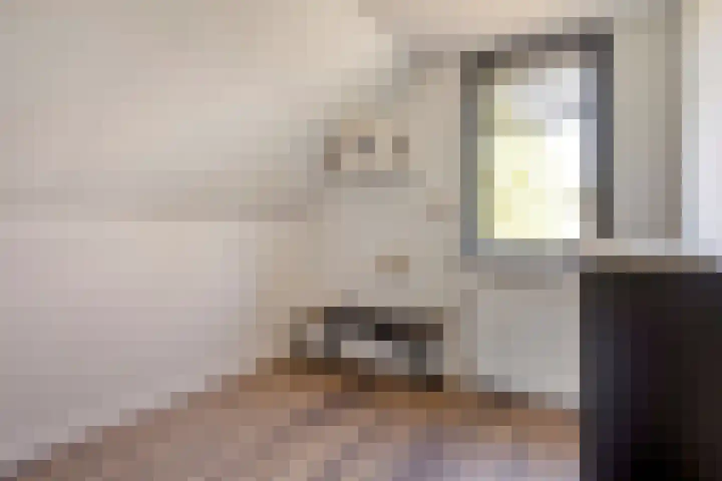 Mendelssohnstraat 7 Dirksland thumbnail 37