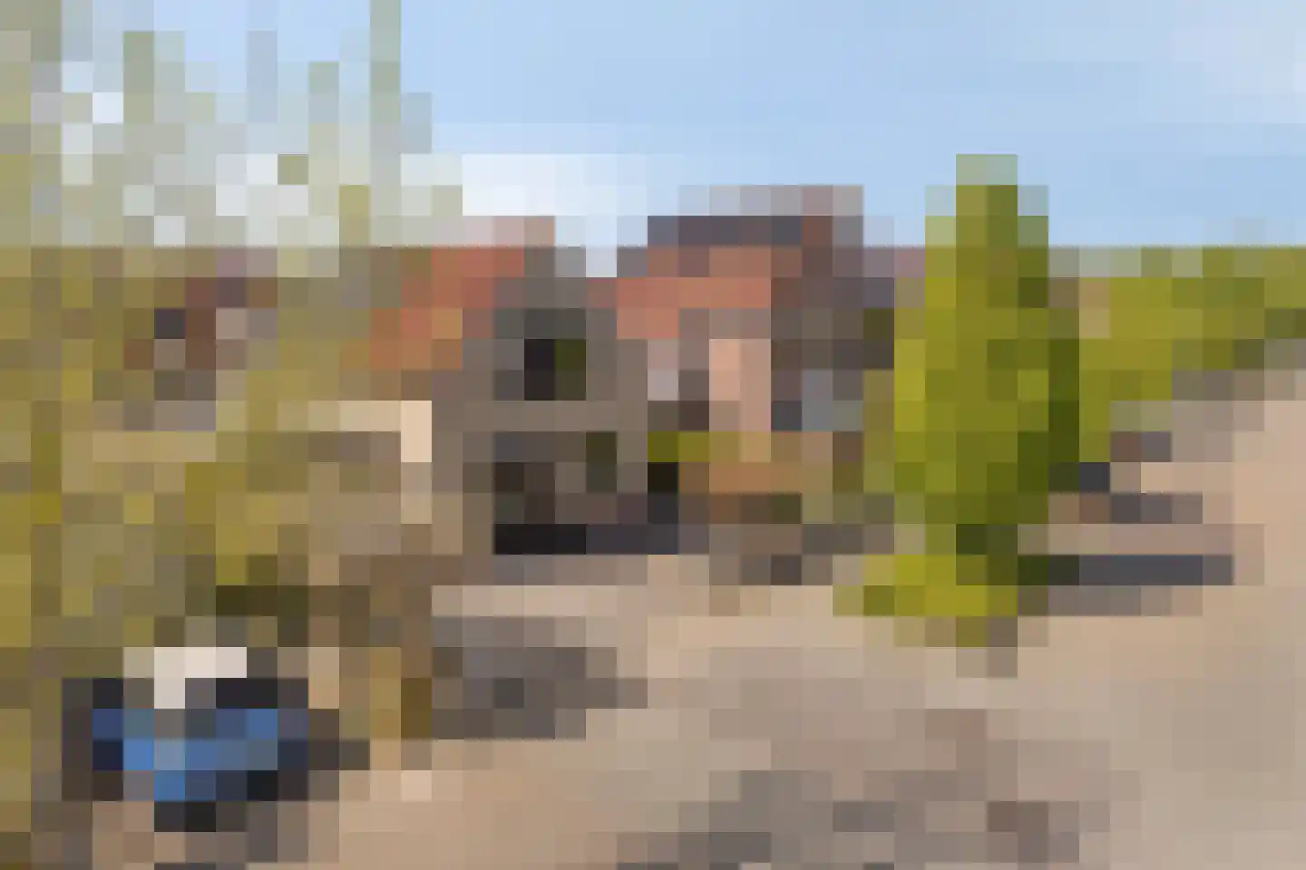 Mendelssohnstraat 7 Dirksland thumbnail 43
