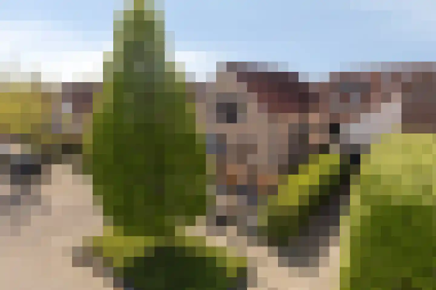 Mendelssohnstraat 7 Dirksland thumbnail 45