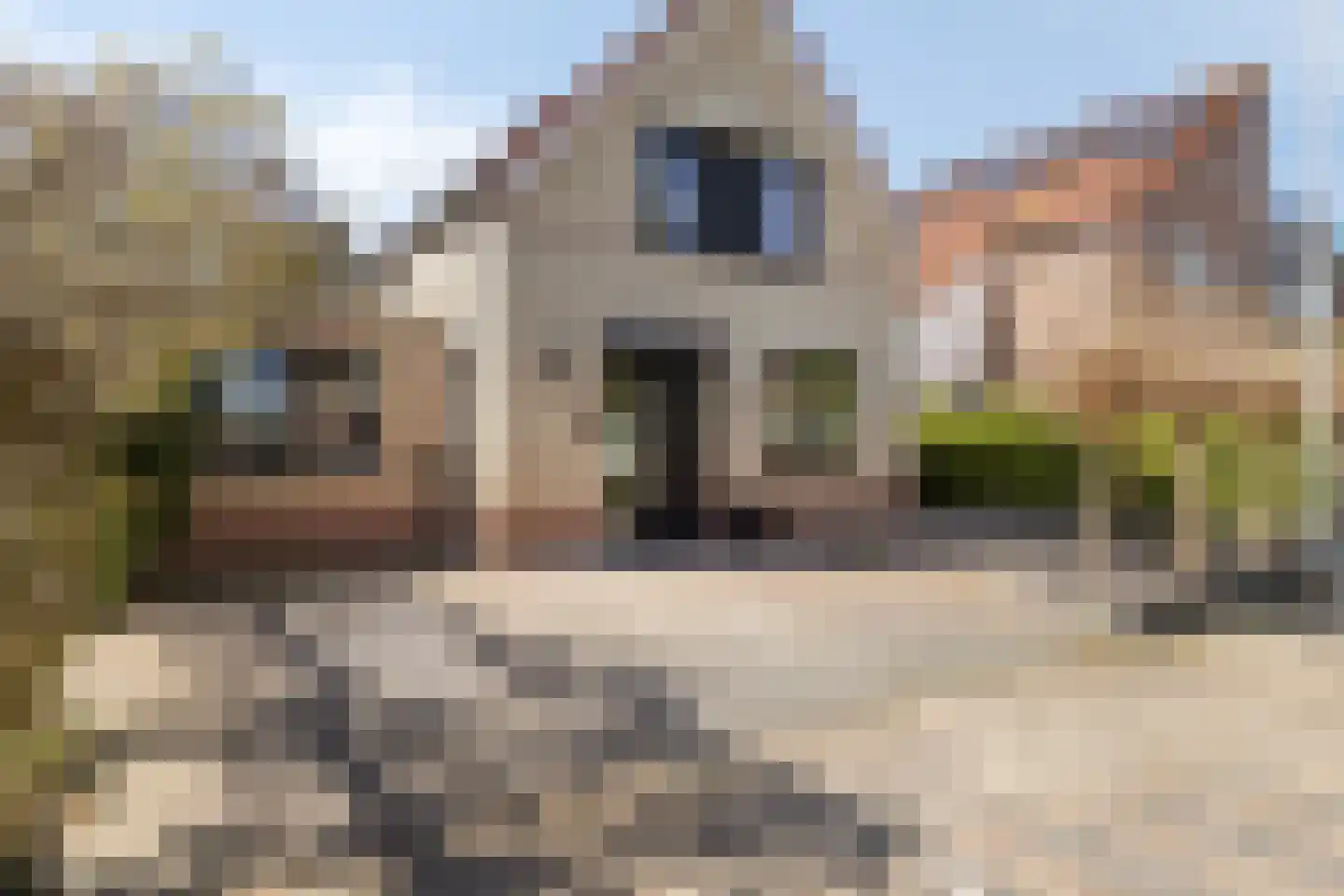 Mendelssohnstraat 7 Dirksland thumbnail 6