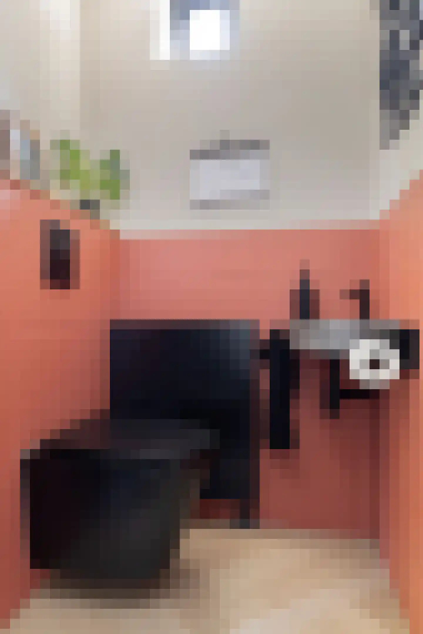 Mendelssohnstraat 7 Dirksland thumbnail 8