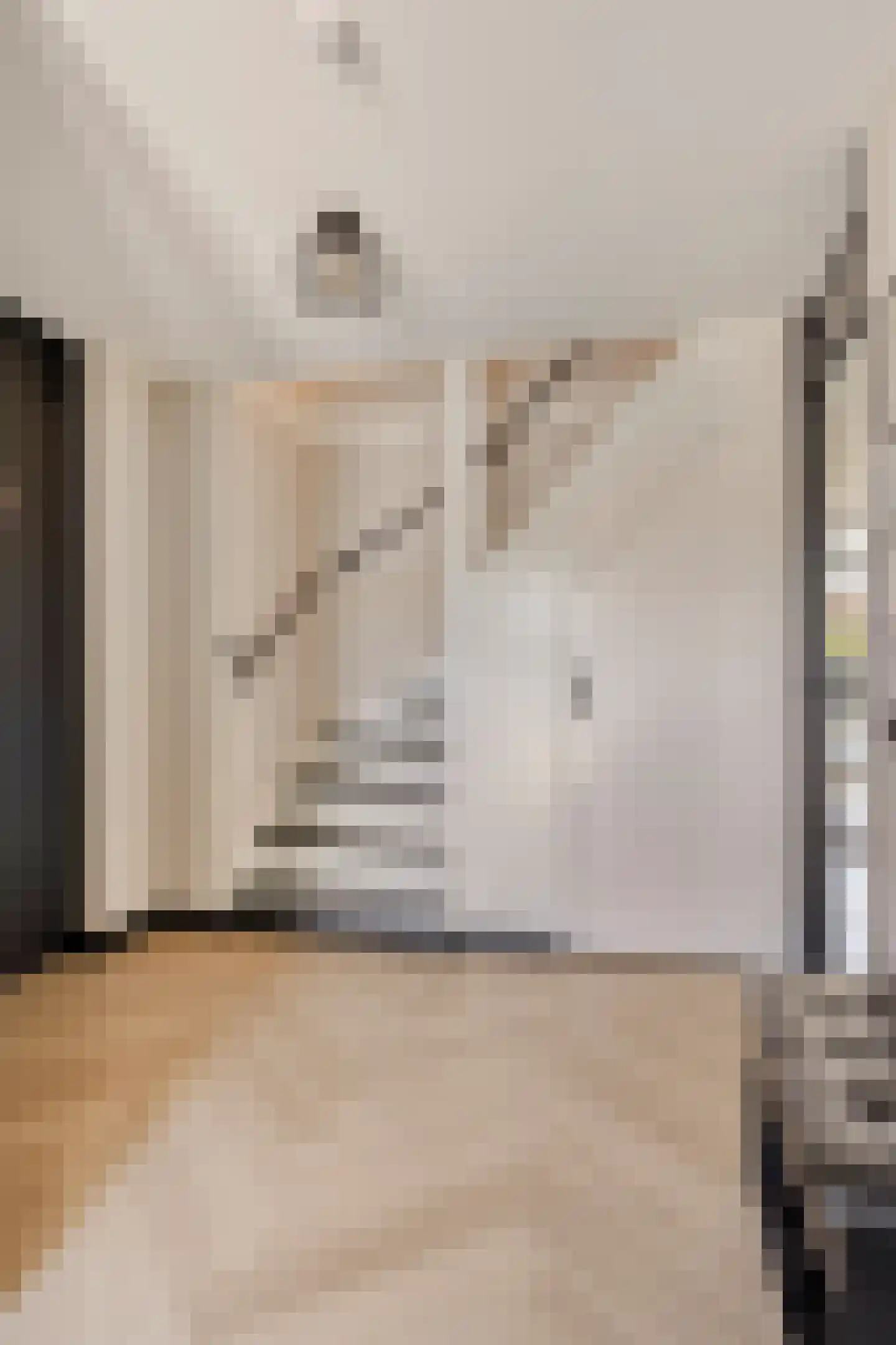 Mendelssohnstraat 7 Dirksland thumbnail 9