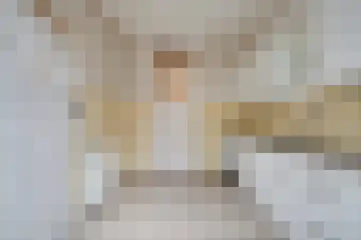 Mendelssohnstraat 7 Utrecht thumbnail 16