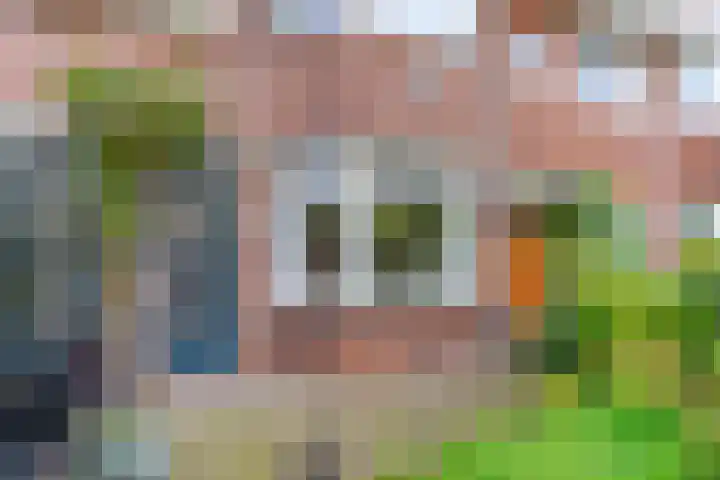 Mendelssohnstraat 7 Utrecht thumbnail 5