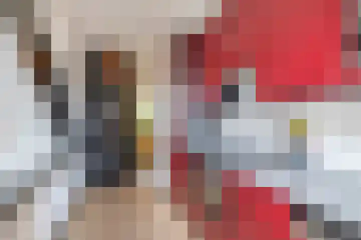 Mendelssohnstraat 73 Capelle aan den IJssel thumbnail 16