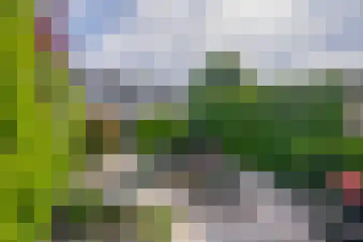 Mendelssohnstraat 73 Capelle aan den IJssel thumbnail 17