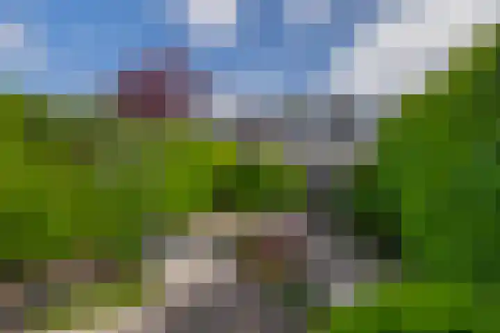 Mendelssohnstraat 73 Capelle aan den IJssel thumbnail 18
